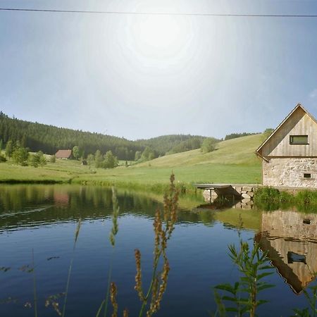 Ferienhaus Im Schwarzwald Am See "Backhaeusle" Villa Hornberg Bagian luar foto